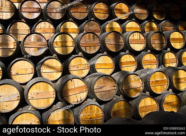 View of a bunch of wooden wine barrels on a cellar