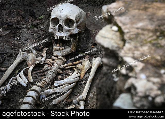 23 September 2021, Saxony-Anhalt, Zeitz: The skeleton of a woman lies in a chapel of the later Posa monastery. Archaeologists have come across the remains of a...