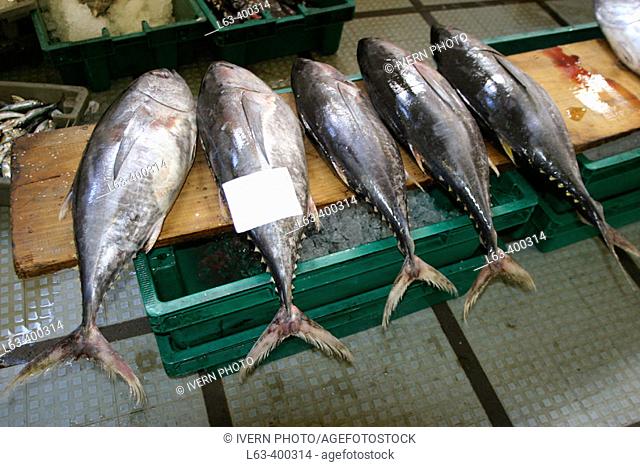 Tuna. Fish market. Mercado dos Lavradores. Funchal. Madeira. Portugal