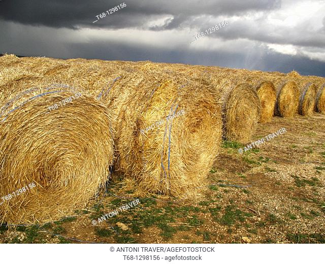 Straw bales, Teruel province, Aragon, Spain