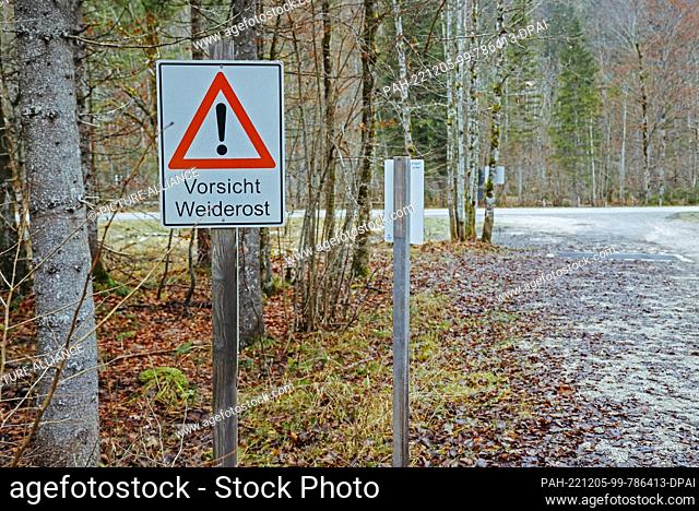 05 December 2022, Bavaria, Ruhpolding: View of the area of the Seekopf Hiking Park where a dead infant was found in the woods around noon on December 4, 2022