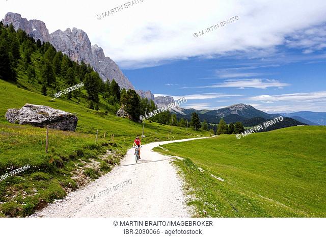 Cyclist below the Odle Group in the Valle di Funes valley, just before Gampenalm alpine meadow, Funes in spring, Alto Adige, Italy, Europe