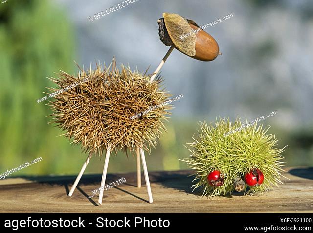 Sheep and hedgehook, funny animal figures made from chestnut shells and oak acorns in autumn time, Switzerland