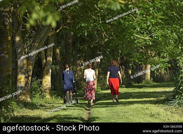 Trois femmes se promenant sur un chemin de campagne menant a l'etang de Chandelles, Departement d'Eure-et-Loir, region Centre-Val-de-Loire, France