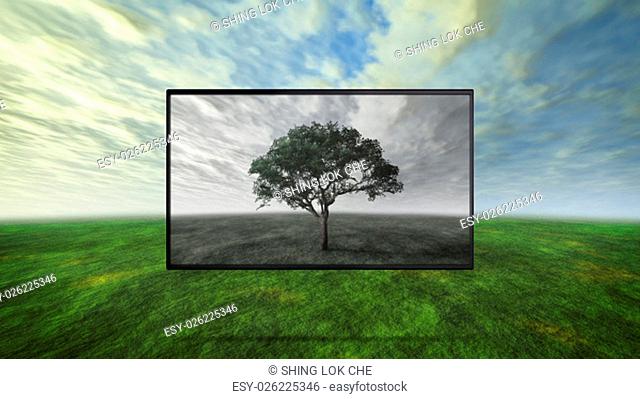 led tv display on wild represent the real color technology