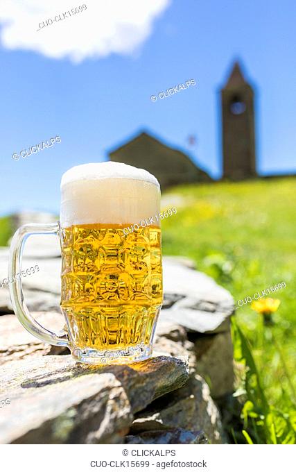 Beer mug, San Romerio Alp, Brusio, Canton of Graubünden, Poschiavo valley, Switzerland, Europe