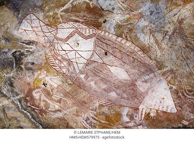 Australia, Northern Territory, Arnhem Land, mont Borradaile, Max Davidson Camp, Jabiru rock probably painted 200 years ago