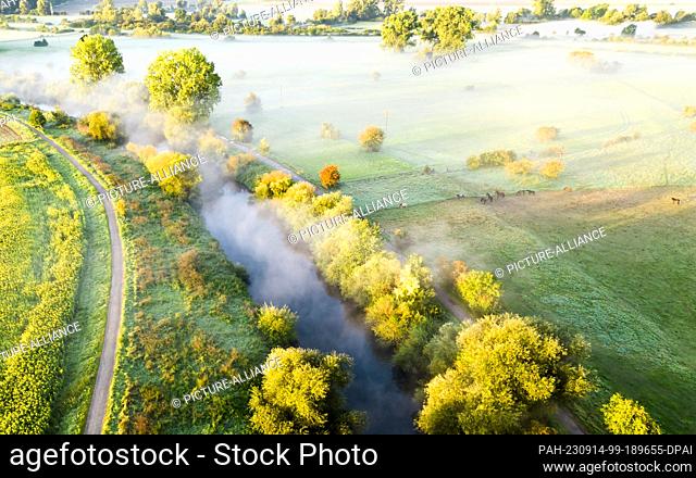 14 September 2023, Lower Saxony, Laatzen: Horses graze in the Leinemasch as wafts of mist drift across the Leine at sunrise