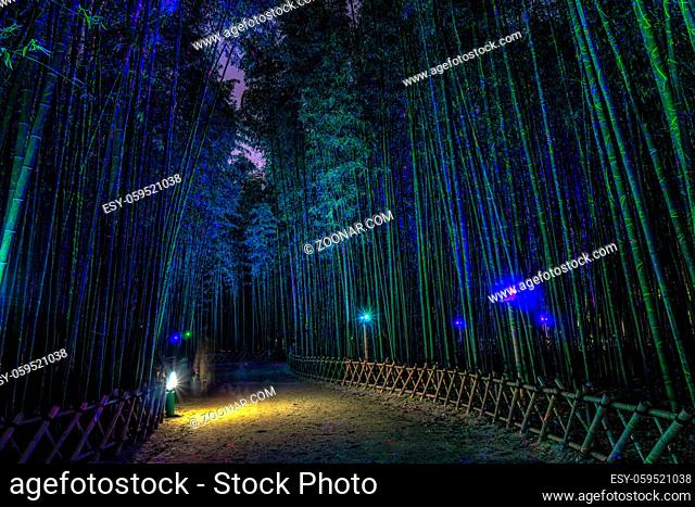 Eunhasu or galaxy road in Taehwagang Simnidaebat bamboo forest field in Ulsan, South Korea. Bamboo forest is lit up at night illuminated by the artificial...