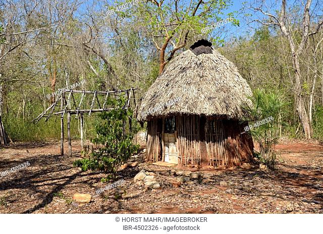 Hut with palm roof as a storage room, historic Mayan city Sayil, Yucatan State, Mexico