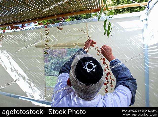 20 September 2021, Mecklenburg-Western Pomerania, Schwerin: Members of the Jewish community decorate the traditional Tabernacle with branches and fruit