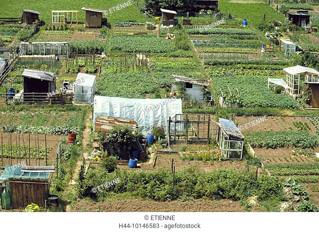 10146583, agriculture, allotment gardens, hobby, small house, gardener, spare time