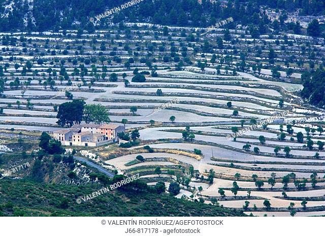 Terraced fields, Font Roja Natural Park, Alcoi. Alicante province, Comunidad Valenciana, Spain