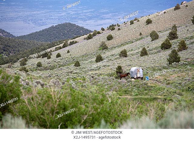 Ely, Nevada - A remote sheep herder's camp on Hank Vogler's Need More Sheep ranch  Vogler raises sheep in north Spring Valley
