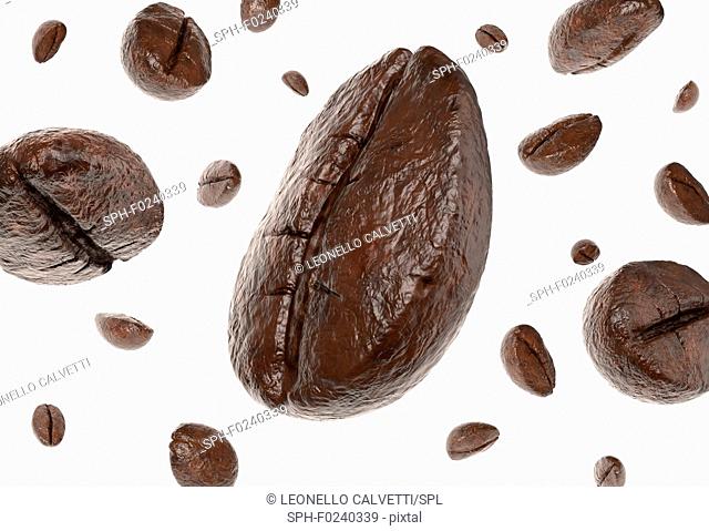 Group of coffee beans falling. One in the centre in very close up view. Isolated on white background