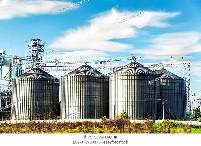 Cereal silos under the blue sky
