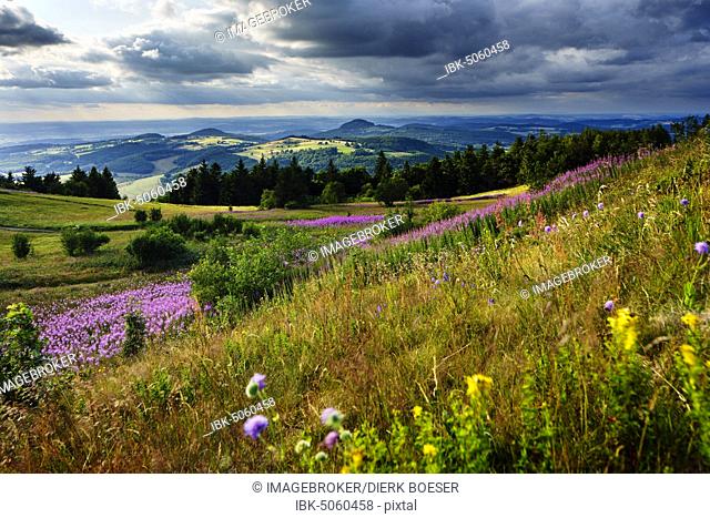 View from the Wasserkuppe to the hilly landscape at sunset, Hessian Rhön Nature Park, Hesse, Germany, Europe