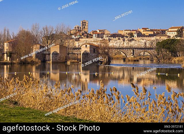 Aceñas de Olivares, mills Olivares, cathedral, Duero river, Zamora city, Zamora Provience, Castile and Leon, Spain, Europe