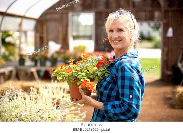 Caucasian gardener holding potted plant in greenhouse