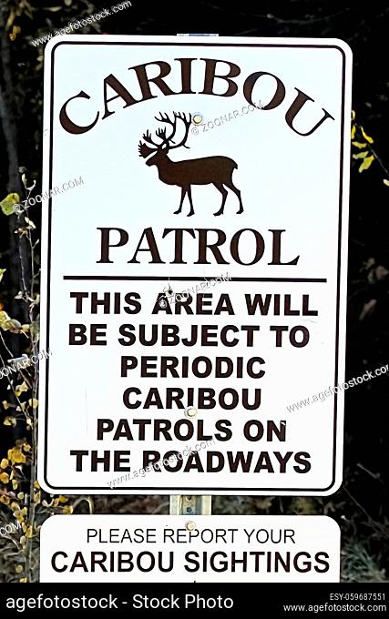 A caribou patrol sign indicating to report sightings