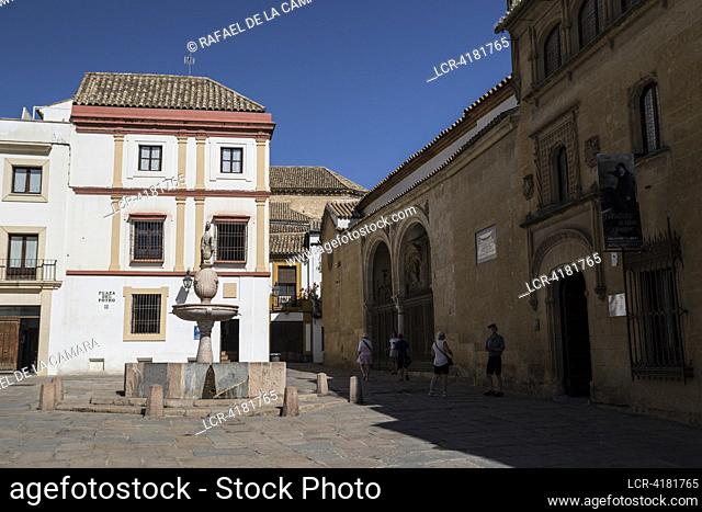 """ HORSE FOAL SQUARE "" CORDOBA CITY SOME PLACES AND PEOPLE SPAIN