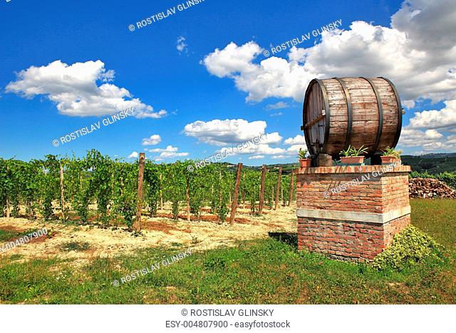 Big wooden wine cask against vineyard under beautiful blue sky with white clouds