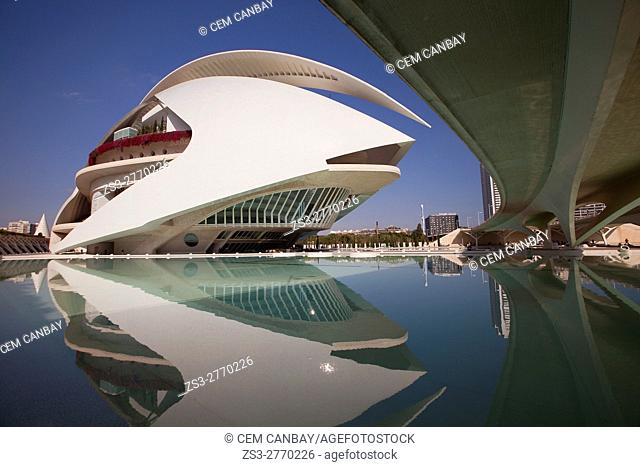 View to the the Palau de les Arts, City of Arts and Sciences, Valencia, Spain, Europe