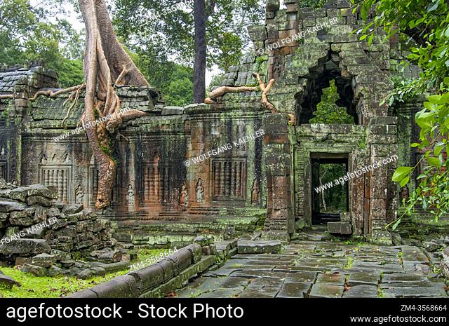Fig trees growing out of the ruins of Preah Khan Temple in the Angkor Wat Archeological Park near Siem Reap in Cambodia