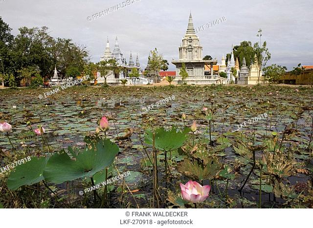 Pond with water lilies in front of stupas of a temple, Udong, Phnom Penh Province, Cambodia, Asia