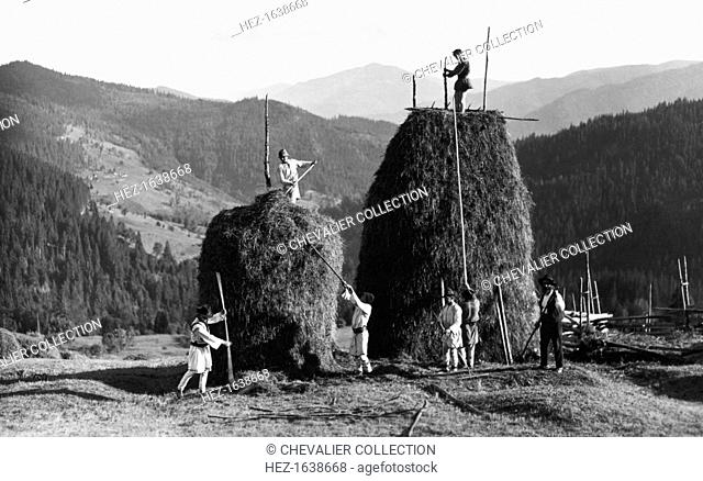 Building haystacks at harvest time, Bistrita Valley, Moldavia, north-east Romania, c1920-c1945. Depicting customs and traditional labour in the rural Carpathian...