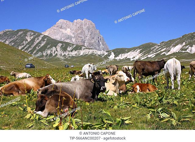Italy, Abruzzo, Campo Imperatore plain. In the background the Corno Grande Mount, Gran Sasso and Monti della Laga national park