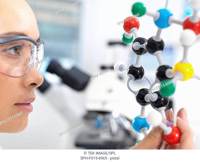 MODEL RELEASED. Scientist understanding a chemical formula by using a molecular model in a laboratory