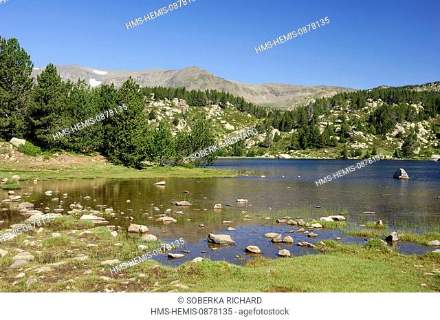 France, Pyrenees Orientales, Parc Naturel Regional des Pyrenees Catalanes (natural regional park of Pyrenees Catalanes), near Angoustrine Villeneuve des...