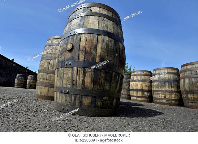 Whiskey barrels from America which had been used as Boubon whiskey barrels, now waiting to be reused for Scotch Single Malt Whisky, Glenmorangie