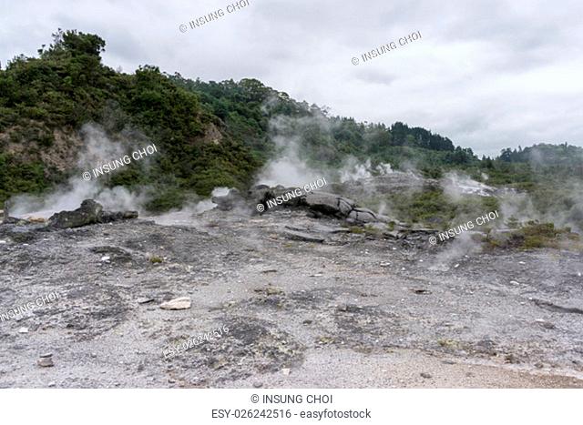 te puia geothermal valley landscape view with live geysers and mudpools. In Rotorua, New Zealand