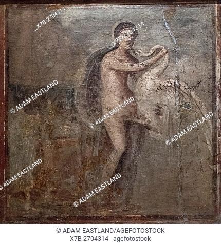Naples. Italy. Ancient erotica in the Gabinetto Segreto, National Archaeological Museum. . . Leda and the Swan, Herculaneum 50-79 AD
