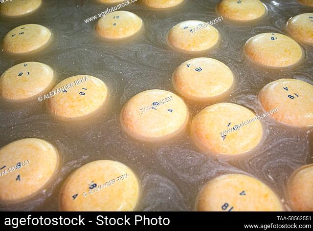 RUSSIA, LUGANSK PEOPLE'S REPUBLIC - APRIL 21, 2023: The hard cheese and semi-hard cheese production facility of Markovsky Cheese Factory in the Markovka...