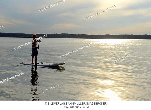 Boy, stand up paddle boarding, SUP, St. Heinrich, Starnberger See, Fuenfseenland, Upper Bavaria, Bavaria, Germany