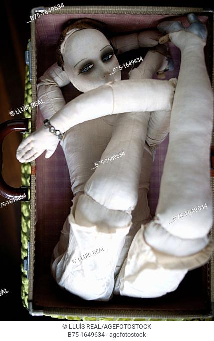 Rag doll folded in a suitcase