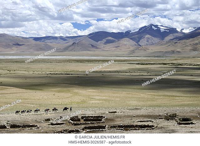 India, Jammu and Kashmir State, Himalaya, Ladakh, high-altitude plateau of Changthang (Changtang), Rupshu valley, Rumtse to Tso Moriri trek, Tso Kar lake
