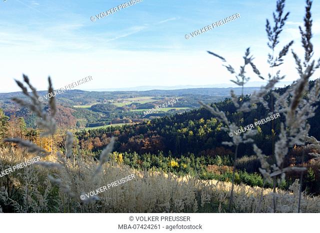 Bergern im Dunkelsteinerwald, forest Dunkelsteinerwald, Wachau, Lower Austria, Austria
