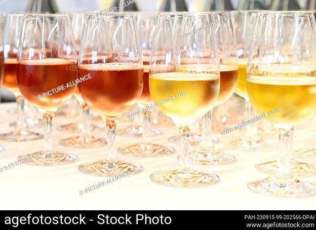 SYMBOL - 13 September 2023, Baden-Württemberg, Balingen: Rosé wine and white wine is on a table at an event. Photo: Silas Stein/dpa