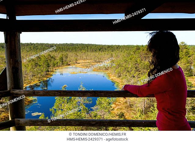 Estonia (Baltic States), Harju region, Laane-Virumaa, Lahemaa National Park, Viru Bog (Viru Raba) peat swamp
