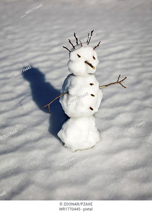 Small funny snowman
