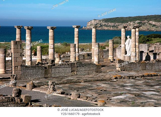 Roman ruins of Baelo Claudia - basilica, Tarifa, Cadiz-province, Spain
