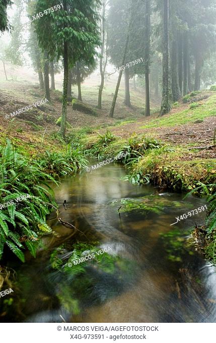 Paisaje en el parque natural Monte Aloia  Landscape in Aloia nature park  Tui, Pontevedra, España