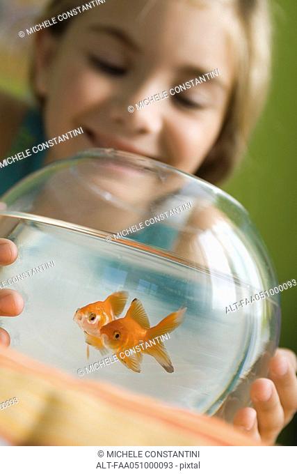 Girl watching goldfish swim in fishbowl
