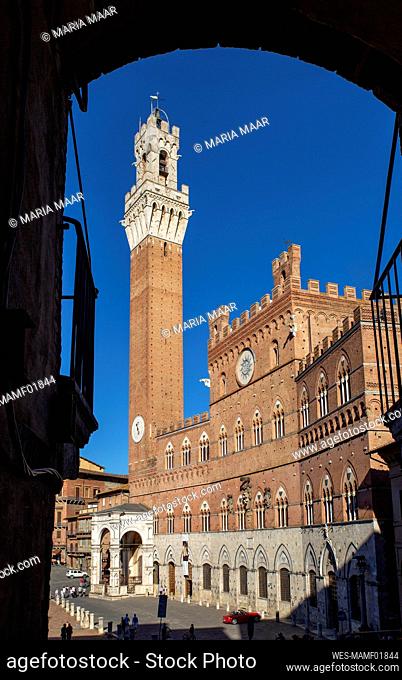 Italy, Tuscany, Siena, Clear sky over Palazzo Pubblico and Torre del Mangia