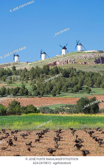 Spain , La Mancha region , campo de criptana area, Windmills