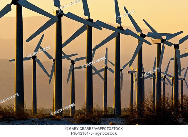 Array of Clean Energy Power generating windmills at wind farm at sunrise, Palm Springs, Riverside County, California